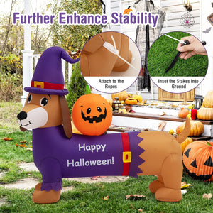 5 Feet Long Halloween Inflatable Dachshund Dog with Pumpkin — view 3