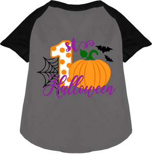 My First Halloween Pet Raglan Shirt — view 3