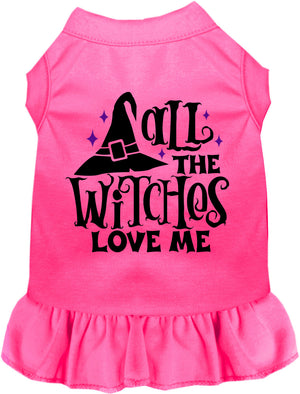 All the Witches Love Me Halloween Pet Dress — view 1