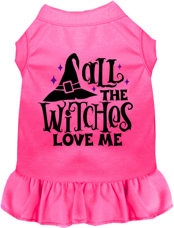 All the Witches Love Me Halloween Pet Dress