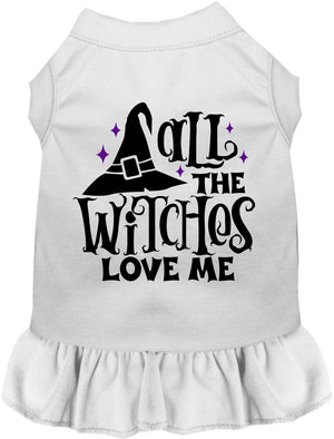 All the Witches Love Me Halloween Pet Dress — view 6