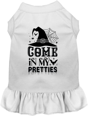 Come In My Pretties Witch Halloween Pet Dress — view 7