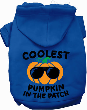 Coolest Pumpkin Halloween Pet Hoodie — view 3