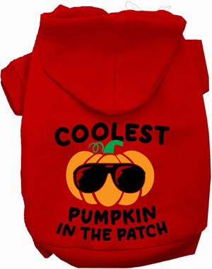 Coolest Pumpkin Halloween Pet Hoodie — view 10
