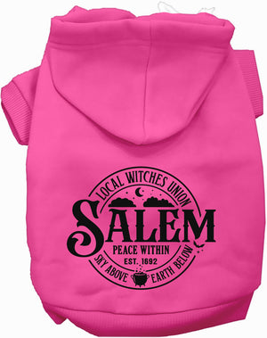 Salem Witches Union Halloween Pet Hoodie — view 3