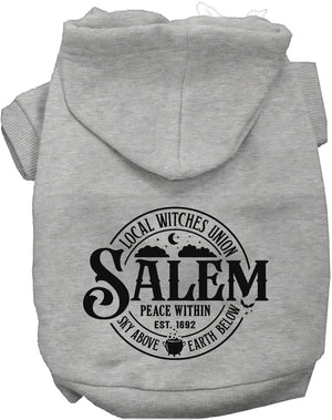 Salem Witches Union Halloween Pet Hoodie — view 5
