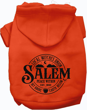 Salem Witches Union Halloween Pet Hoodie — view 1