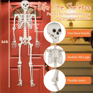 5.4 FT Halloween Skeleton Decoration Life Size Large Skeleton — view 5