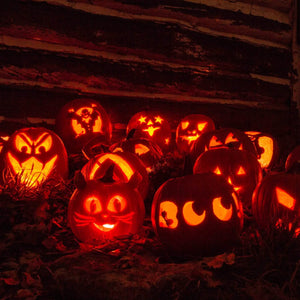 13-Pieces: Halloween Pumpkin Stainless Steel Carving Kit — view 11