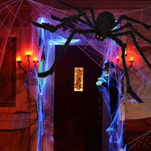 200" Halloween Spider Web and 59" Giant Spider Decoration — view 5