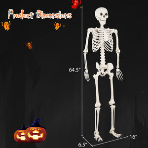 5.4 FT Halloween Skeleton Decoration Life Size Large Skeleton — view 4