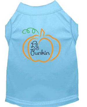 Halloween Pet Dog & Cat Shirt Screen Printed, "Lil Punkin" — view 3