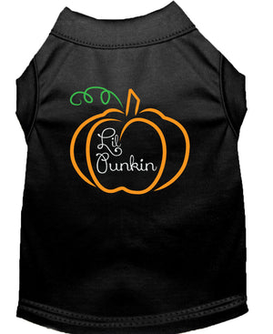 Halloween Pet Dog & Cat Shirt Screen Printed, "Lil Punkin" — view 4