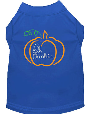 Halloween Pet Dog & Cat Shirt Screen Printed, "Lil Punkin" — view 5