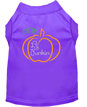 Halloween Pet Dog & Cat Shirt Screen Printed, "Lil Punkin" — view 10