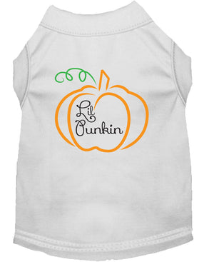 Halloween Pet Dog & Cat Shirt Screen Printed, "Lil Punkin" — view 11