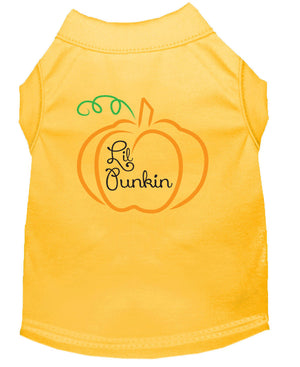 Halloween Pet Dog & Cat Shirt Screen Printed, "Lil Punkin" — view 12