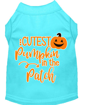 Halloween Pet Dog & Cat Shirt Screen Printed, "Cutest Pumpkin In The Patch" — view 10