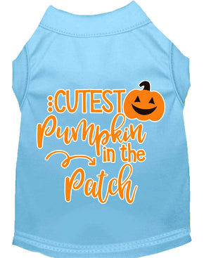 Halloween Pet Dog & Cat Shirt Screen Printed, "Cutest Pumpkin In The Patch" — view 13