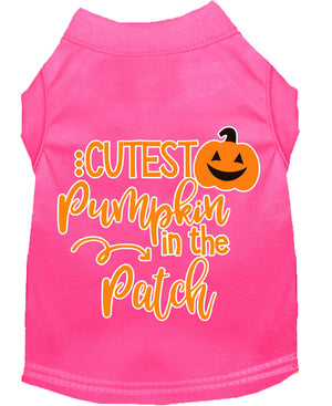 Halloween Pet Dog & Cat Shirt Screen Printed, "Cutest Pumpkin In The Patch" — view 12