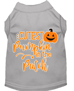 Halloween Pet Dog & Cat Shirt Screen Printed, "Cutest Pumpkin In The Patch" — view 14