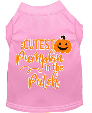 Halloween Pet Dog & Cat Shirt Screen Printed, "Cutest Pumpkin In The Patch" — view 11