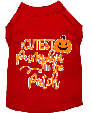 Halloween Pet Dog & Cat Shirt Screen Printed, "Cutest Pumpkin In The Patch" — view 9