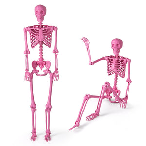 5.5 FT Life-Size Halloween Poseable Skeleton Pink Movable Joints — view 3