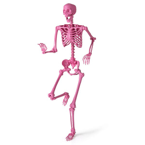 5.5 FT Life-Size Halloween Poseable Skeleton Pink Movable Joints — view 4