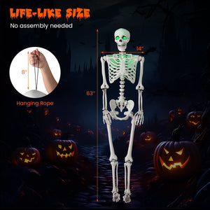 5.5 FT Halloween Skeleton Life-Size Posable for Indoor Outdoor Decoration — view 5
