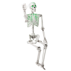 5.5 FT Halloween Skeleton Life-Size Posable for Indoor Outdoor Decoration — view 6