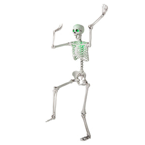 5.5 FT Halloween Skeleton Life-Size Posable for Indoor Outdoor Decoration — view 8