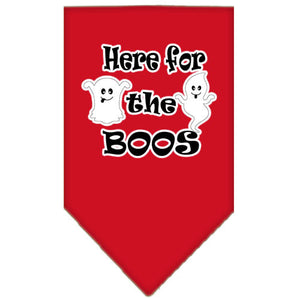 Halloween Pet and Dog Bandana Screen Printed, "Here For The Boos" — view 12