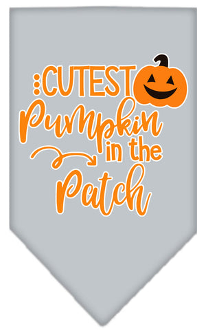 Halloween Pet and Dog Bandana Screen Printed, "Cutest Pumpkin In The Patch" — view 13