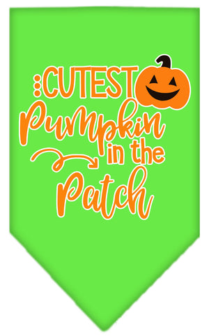 Halloween Pet and Dog Bandana Screen Printed, "Cutest Pumpkin In The Patch" — view 12