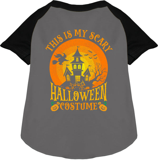 Scary Halloween Costume Pet Raglan Shirt