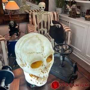 Giant Skull Animatronic Lamp Prop 20-Inch-Tall Heavy Duty Polyresin Halloween Decoration — view 20