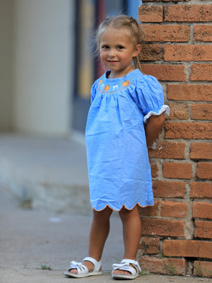 Blue Fall Thanksgiving&Halloween Pumpkin Smock Embroidery Lace Baby Girl Dress — view 1