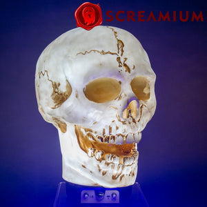 Giant Skull Animatronic Lamp Prop 20-Inch-Tall Heavy Duty Polyresin Halloween Decoration — view 4