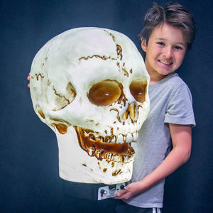 Giant Skull Animatronic Lamp Prop 20-Inch-Tall Heavy Duty Polyresin Halloween Decoration — view 1