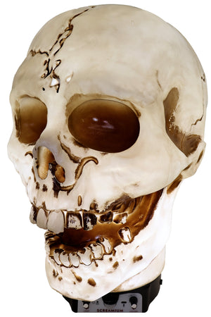Giant Skull Animatronic Lamp Prop 20-Inch-Tall Heavy Duty Polyresin Halloween Decoration — view 6