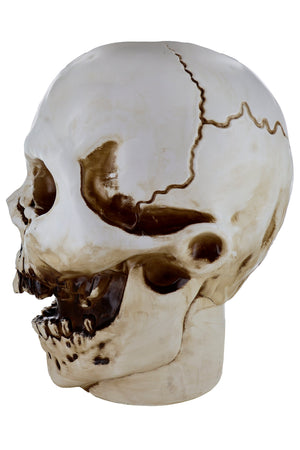 Giant Skull Animatronic Lamp Prop 20-Inch-Tall Heavy Duty Polyresin Halloween Decoration — view 9