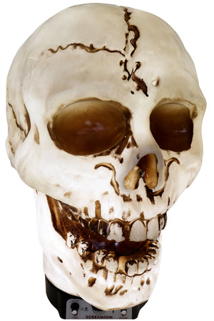 Giant Skull Animatronic Lamp Prop 20-Inch-Tall Heavy Duty Polyresin Halloween Decoration — view 7