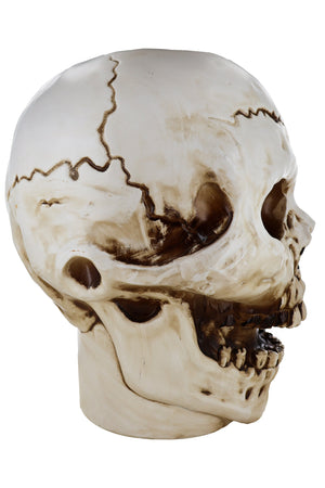 Giant Skull Animatronic Lamp Prop 20-Inch-Tall Heavy Duty Polyresin Halloween Decoration — view 10