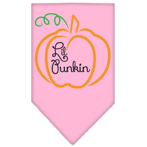 Halloween Pet and Dog Bandana Screen Printed, "Lil Punkin" — view 9
