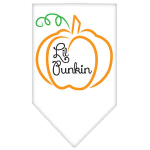 Halloween Pet and Dog Bandana Screen Printed, "Lil Punkin" — view 10