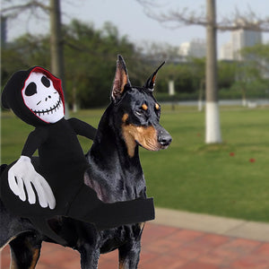 Funny Pet Decoration Dress Up Pet Cosplay Clothes Spider Pumpkin Vest — view 5