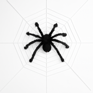 Giant Halloween Spider Decoration with Web — view 1