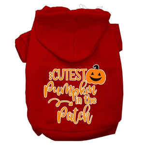 Halloween Pet Hoodie "Cutest Pumpkin In The Patch" — view 7