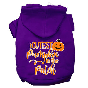 Halloween Pet Hoodie "Cutest Pumpkin In The Patch" — view 6